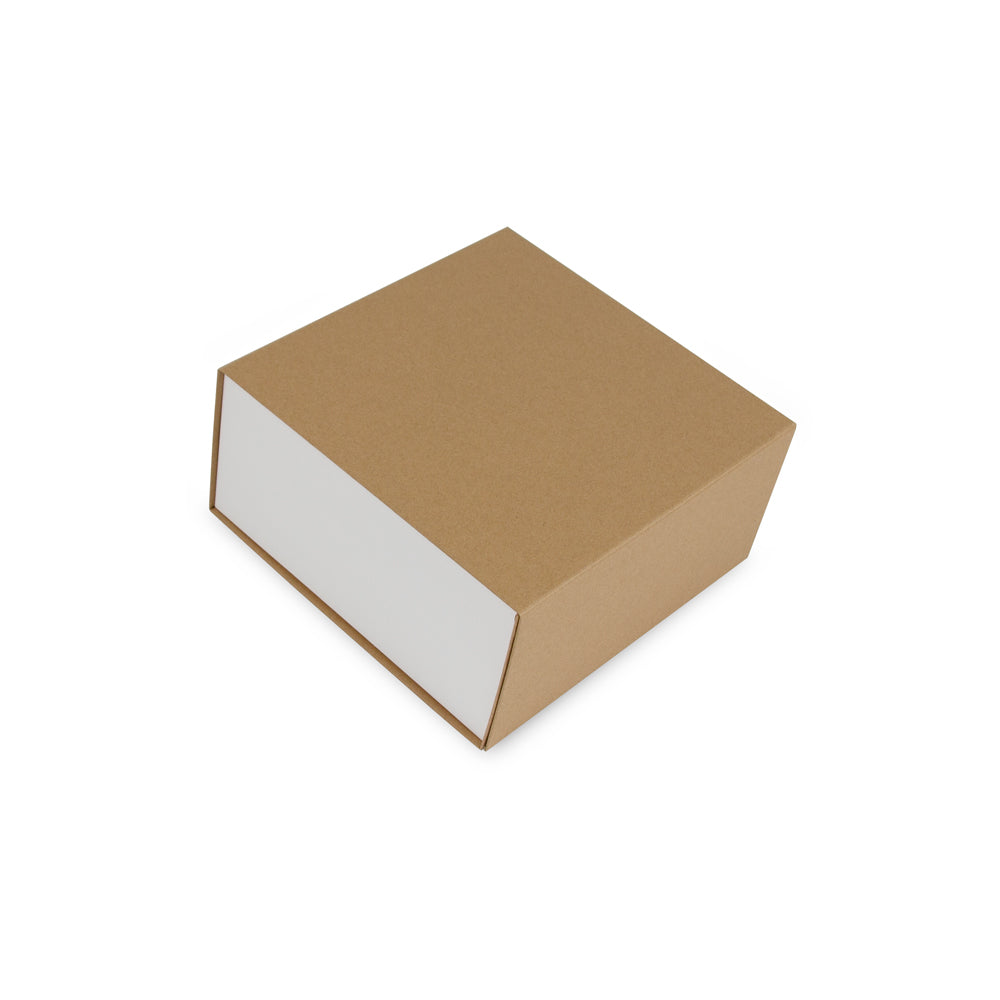 Kraft magneetdozen