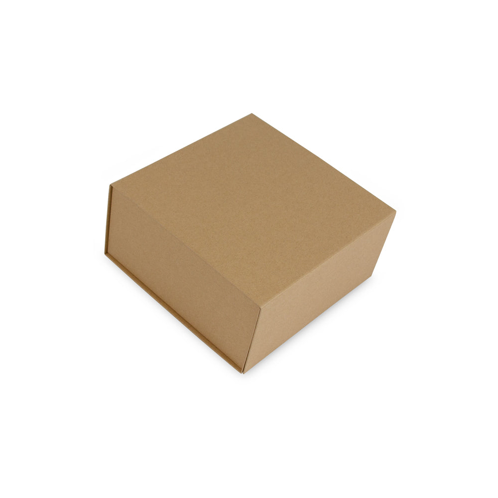 Kraft magneetdozen