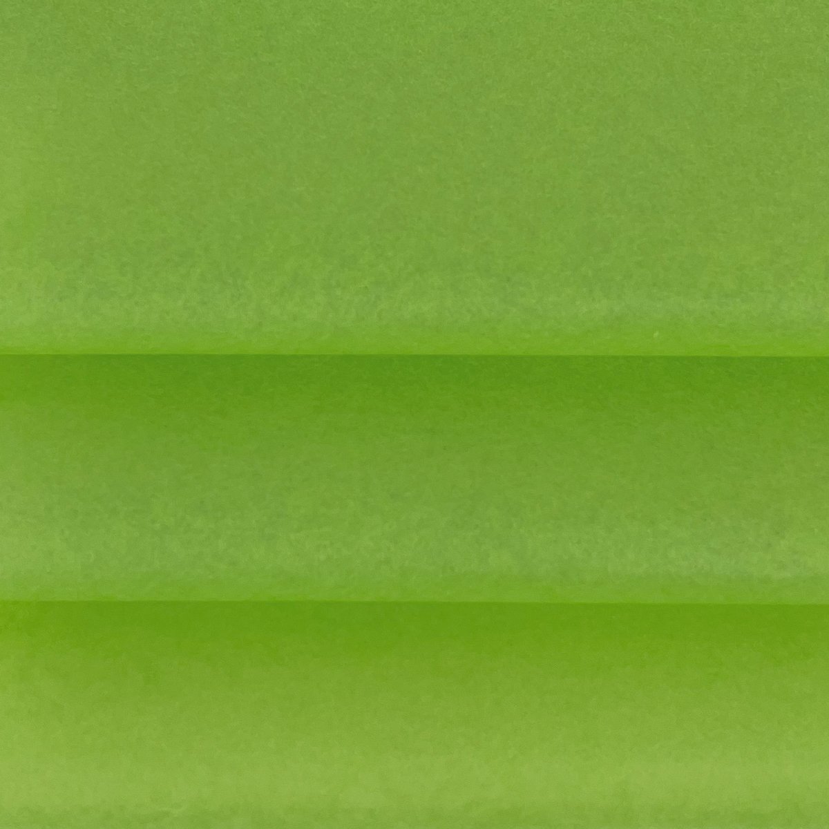 Vloeipapier Groen