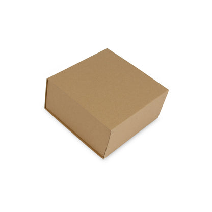 Kraft magneetdozen